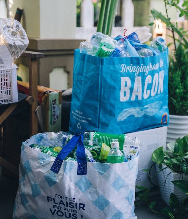 The Boundaries of Fiscal and Monetary Policy